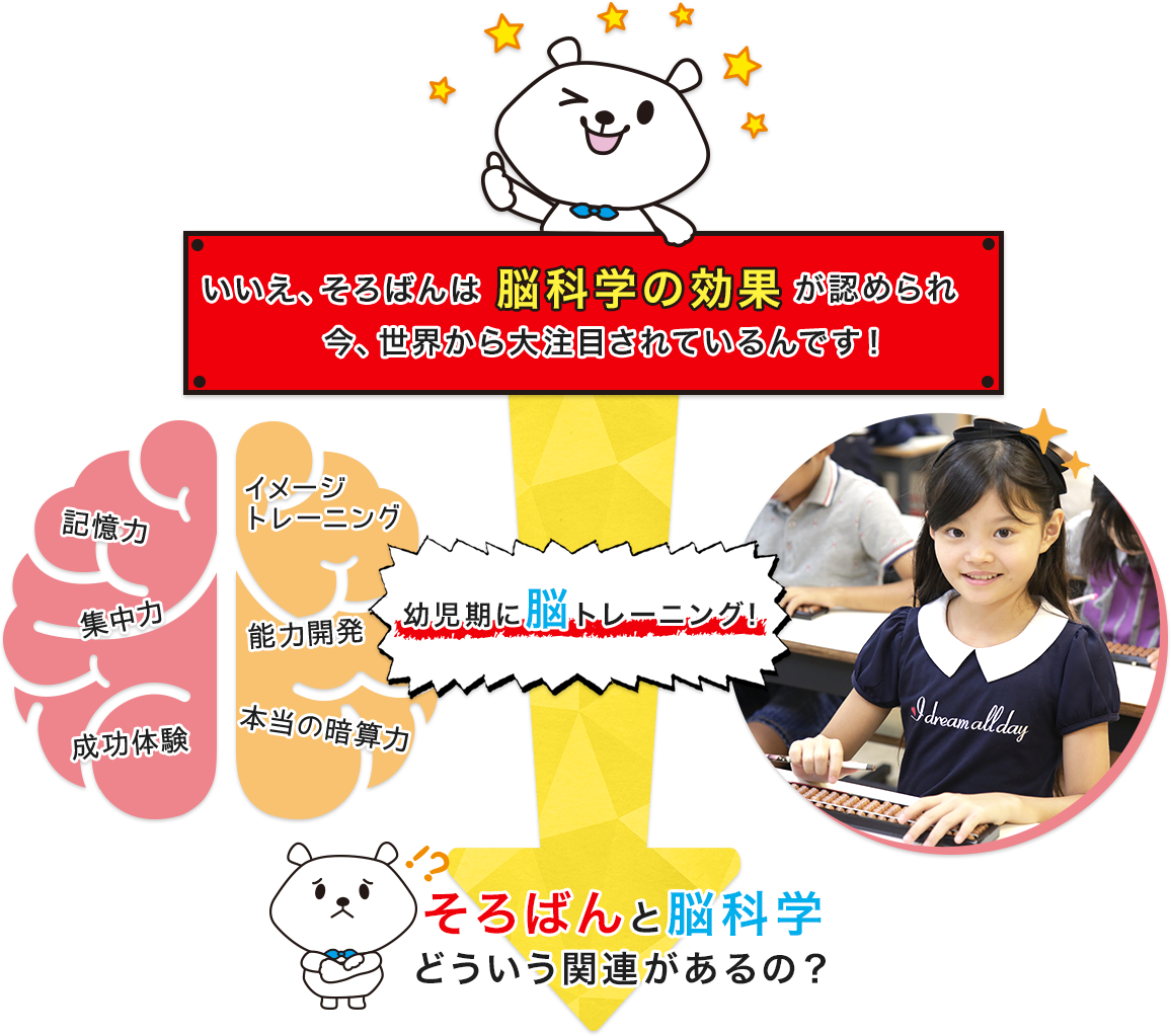 いいえ、そろばんは脳科学の効果が認められ今、世界から大注目されているんです！幼児期に脳トレーニング!そろばんと脳科学
どういう関連があるの？